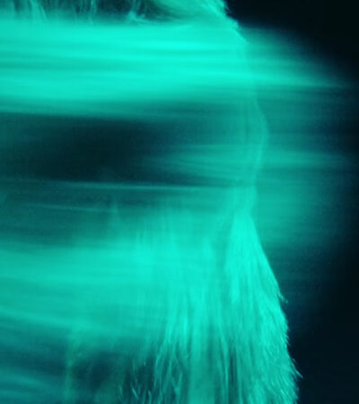 WHO / MODESELEKTOR + TOMMY CASH (CHEHAD ABDALLAH) WHO / MODESELEKTOR + TOMMY CASH (CHEHAD ABDALLAH)