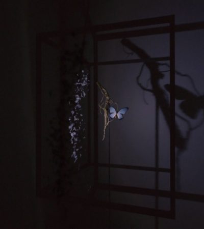 I NEED A FOREST FIRE / JAMES BLAKE ft BON IVER (CHRIS DAVENPORT & MATT CLARK) I NEED A FOREST FIRE / JAMES BLAKE ft BON IVER (CHRIS DAVENPORT & MATT CLARK)