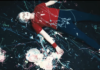 PULSE / LAURA VEIRS (TWIXX WILLIAMS)